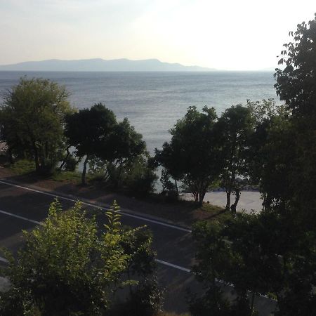 Apartment Marina Senj Senj  Exterior photo